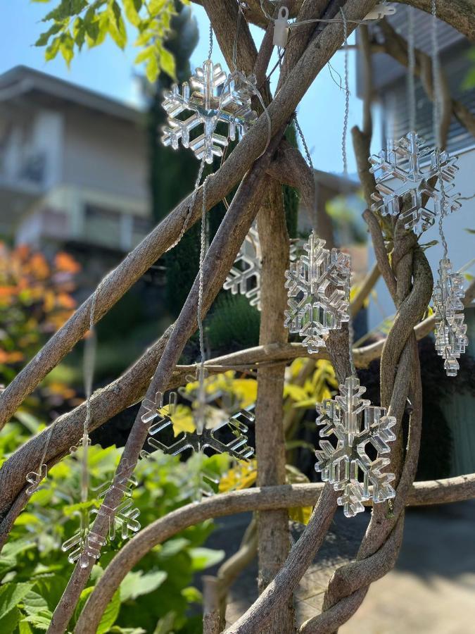 Leissigen Snowflake מראה חיצוני תמונה